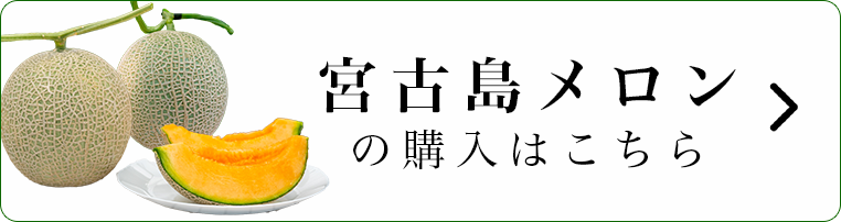 宮古島メロンの購入はこちら